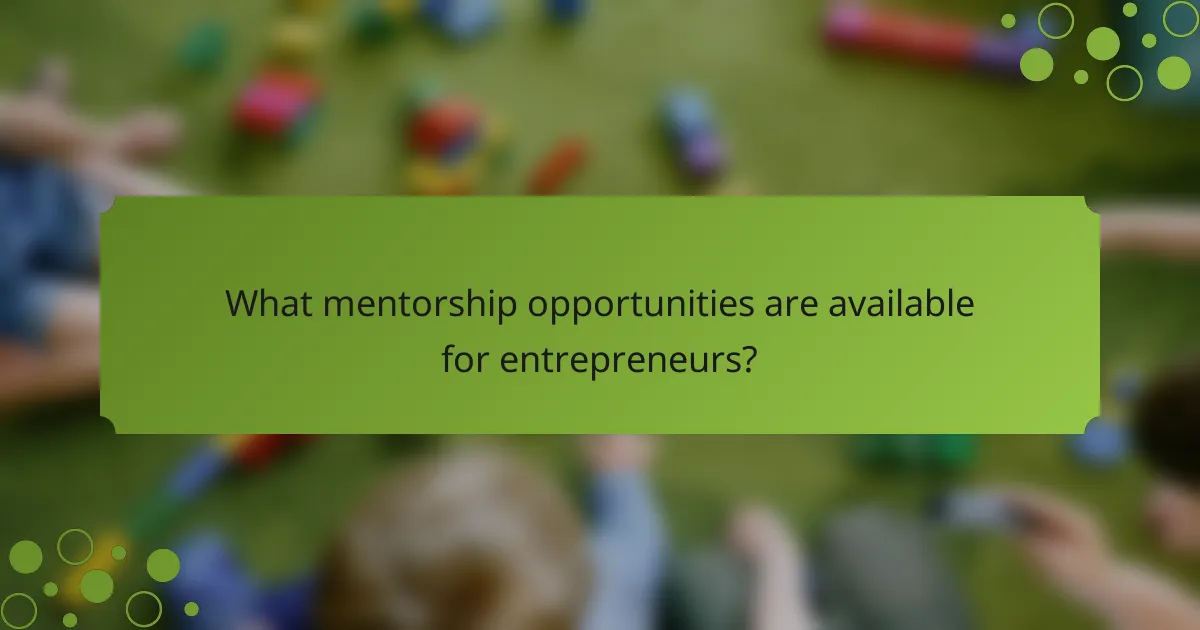 What mentorship opportunities are available for entrepreneurs?